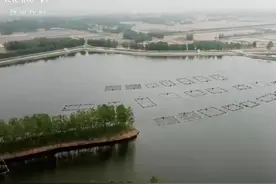 山东男子承包180亩鱼塘，如今靠鱼塘实现梦想，年销售额2000多万图片