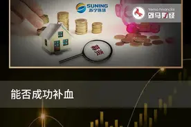 苏宁环球拟募资28亿元，张近东胞兄能否度过寒冬？图片