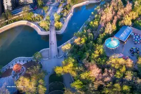 耕耘2022，白银区接续升级绿色生态家园图片