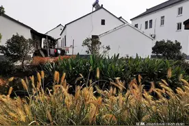 老宅拆迁补偿了630万，25岁女孩拒绝和哥哥平分后，竟被告上法庭图片