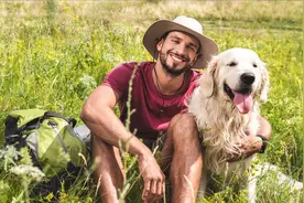 2022年，这些狗我不会考虑养，养过一次表示怕了图片