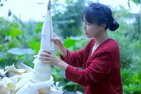 网红与 MCN 的相爱相杀，有几个能不撕破脸皮？图片