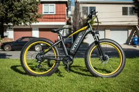 国外很火的电动助力自行车，为什么你没听过？图片