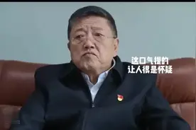 《狂飙》几位高官，20多年时间，副厅升正厅，只升了半格，不合理图片