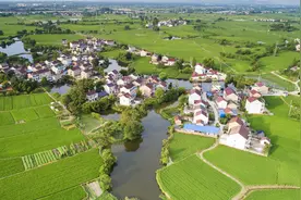 农村土地政策调整，事关你我九亿农村人图片