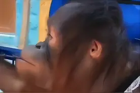 郑州银基动物王国直播间饲养员暴击猩猩面部，景区回应：调查结束 猩猩未受伤图片