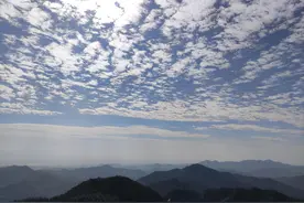 扛不住诱惑，女人还是不当领导的好图片