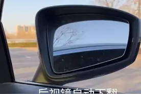 老司机告诉你，汽车挂倒挡，后视镜自动下翻功能怎么设置？图片