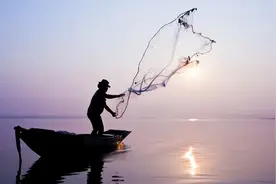 你知道鸬鹚捕鱼是违法的吗？图片
