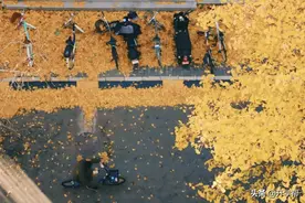 北大学子备考锦囊 | 张一诺：放手一搏，拼尽全力图片