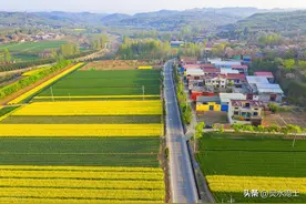 清桉行动即将结束，老百姓和地方政府同时面临新的挑战图片