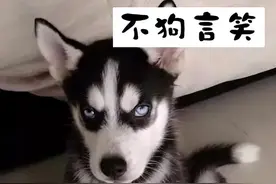 偷偷变帅的秘法，阅后即焚！图片