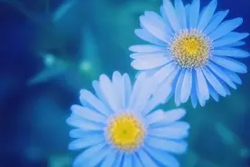 太善良的人，命反而不好：不要信运气，要多信命图片