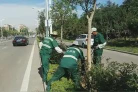 事业单位改革：城管、环卫、园林等城管局工作人员会消失吗？图片