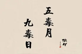 什么是五毒月图片