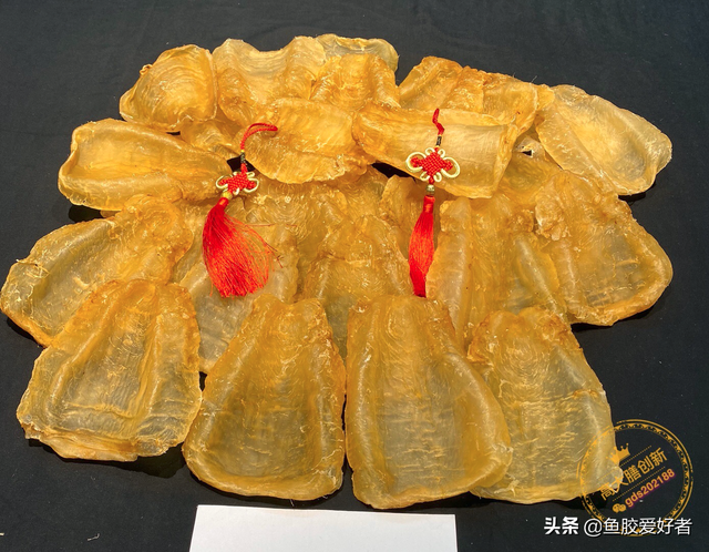 斗湖鱼胶的功效及价格 2026年斗湖鱼胶的口感怎样