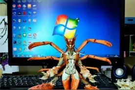 “娶妻不娶螃蟹女，嫁汉不嫁乌龟男”，螃蟹女和乌龟男分别指啥？图片