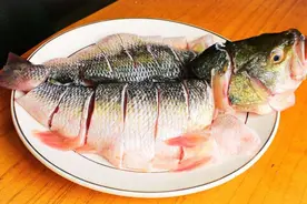 请停止食用这4种鱼，可能含有甲醛和重金属，尤其要转告父母图片