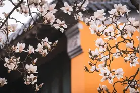 这些四季的雅称，你知道吗？图片