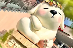 我国城镇犬猫数量已突破1.2亿只，杉杉奥莱盯上“它经济”，打造“毛孩子”的度假目的地图片