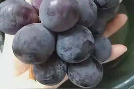 洗葡萄时，有人用盐，有人用面？老果农说：都不对！教你正确做法图片