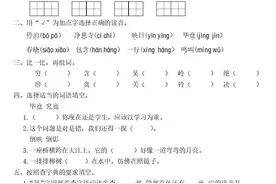 二年级语文下册：第六单元精编一课一练+答案，基础同步巩固！图片