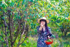 宜游科学城 | 水果采摘季来啦！图片