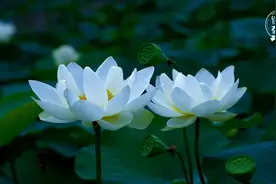 人生的三次觉醒：自律、自觉、自洽图片