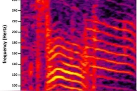 包租婆的狮吼功成为现实？——次声波的秘密图片