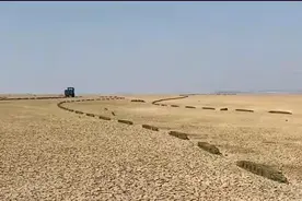 鄱阳湖干旱后，湖床上的“滚地龙”究竟是什么？危害之大触目惊心图片