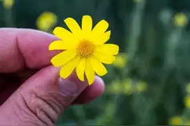 想你，是我的习惯，爱你，是我的痴念，爱过一次，再也不会改变图片