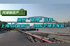 论温州房姨持有“上海90套房产”图片