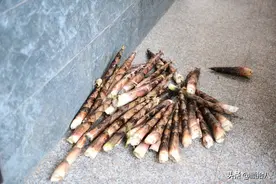 江南的春天，怎么能不吃竹笋呢图片