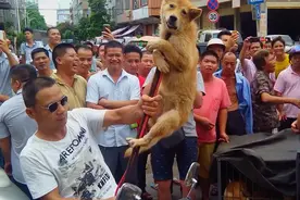 从玉林狗肉节看爱狗人士的极端心理图片