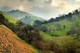 人最大的问题是：太着急图片