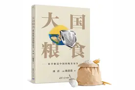 《大国粮食》选载009：全球最主要的粮食作物（八）图片