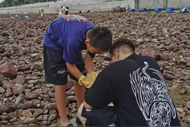 花海间赶海赶了个寂寞 | 螃蟹好大哦 比我指甲盖还大图片