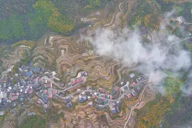 浙江温州大山深处的仙境，梯田风光，风景绝佳，知道的游客却很少图片