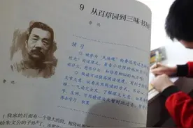 中考语文：文本阅读图片