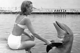 人豚情未了，海豚含恨自杀，重情重义的背后其实是个老色批？图片