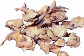 附子的功效作用是什么？图片