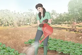 没有经验如何成为真正的农民图片