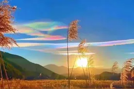 车臣部队与乌军亚速营相遇，为何拒绝亚速营投降图片