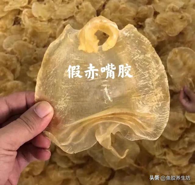 赤嘴鱼胶价格 2026年赤嘴鱼胶价格2024最新价目表