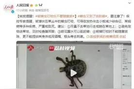 警惕！又到活跃期，严重或致死图片