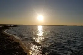 海日生残夜，江春入旧年——盛唐气象与盛世文艺的垫脚石图片