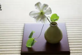 8首最美治愈诗，字字句句抚人心图片