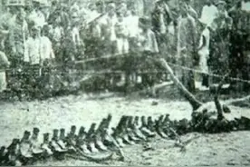 人类未解之谜：营口坠龙，砸死九人？图片