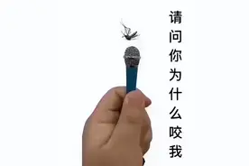 痒到百爪挠心？这种病每逢夏天作妖，专挑孩子下手图片