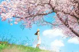 春天风景秀色可餐，踏青赏花拍照片，共赴一场视觉盛宴图片